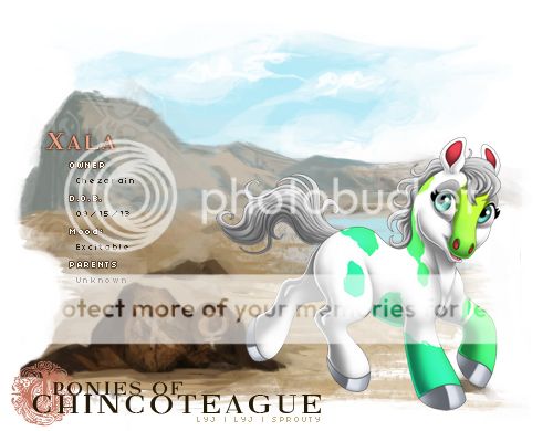 User Image